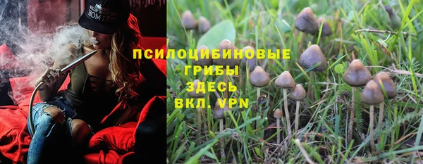 стафф Балахна