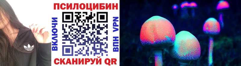 Галлюциногенные грибы Cubensis  продажа наркотиков  Краснокаменск 